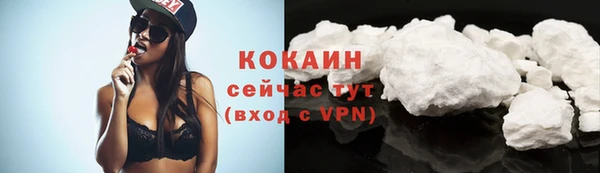 молекула духа Белокуриха