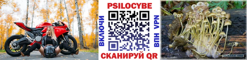 mega маркетплейс  цена   Волчанск  Псилоцибиновые грибы мухоморы 